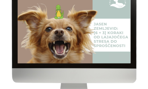 sličica tečaja